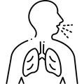 Aide à favoriser une respiration plus fluide : La stimulation vise à soutenir les muscles de la langue et du plancher buccal afin de limiter le rétrécissement des voies respiratoires.